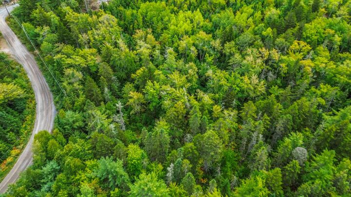 Property Photo:  Lot P-5-3 Spruce Drive  NS B4N 3V8 