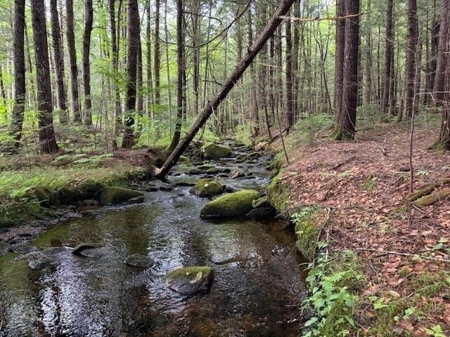 Property Photo:  Lot 121 Davis Mine Rd  MA 01367 