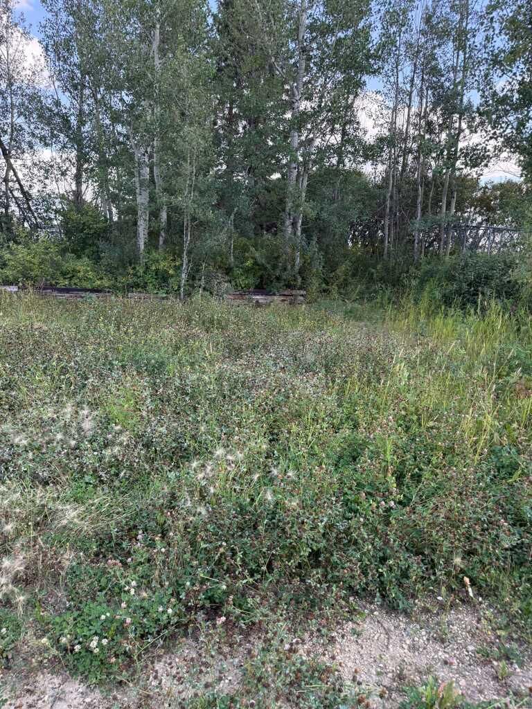 Property Photo: 1019 Township Road 391 AB T4P 0E8