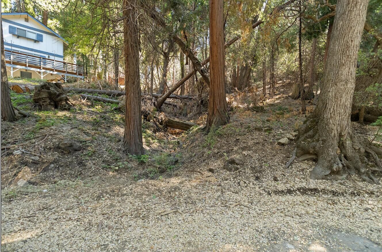 Property Photo:  1482 Coy Flat Dr  CA 93265 