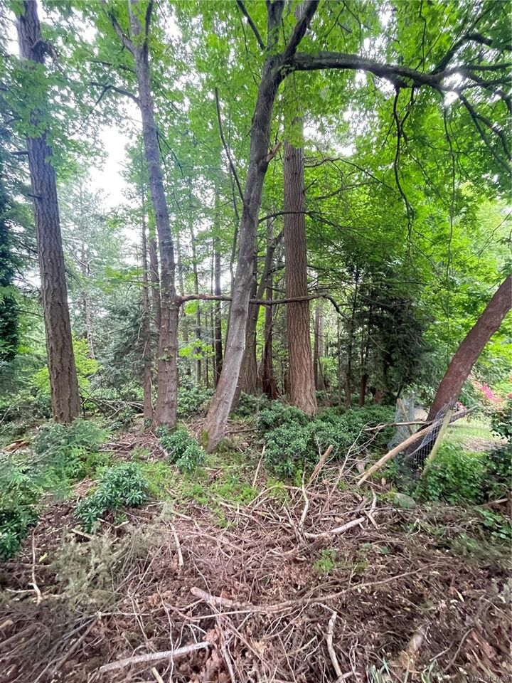 Property Photo: 4912 Lochside Dr BC V8Y 2E4