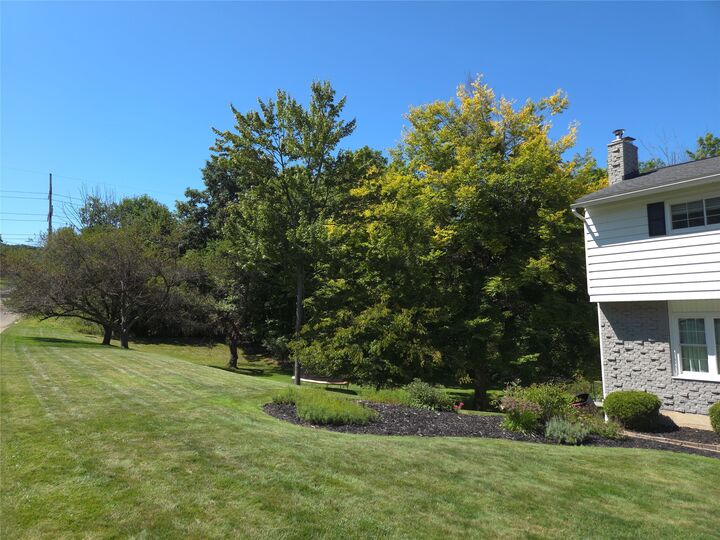 Property Photo:  4221 Marietta Drive  NY 13850 