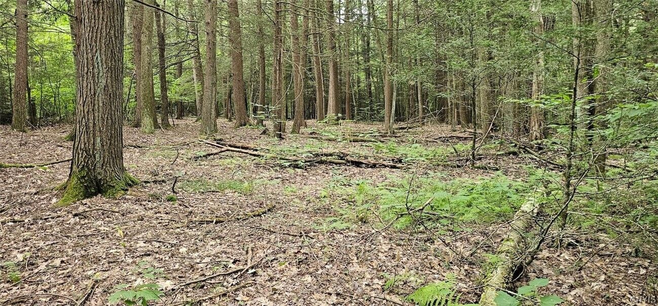 Property Photo:  Union Hill Road  NY 13743 