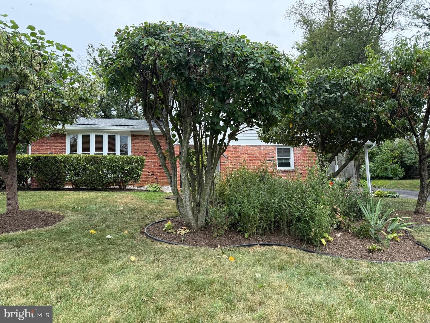 Property Photo:  3921 Forest Grove Drive  VA 22003 