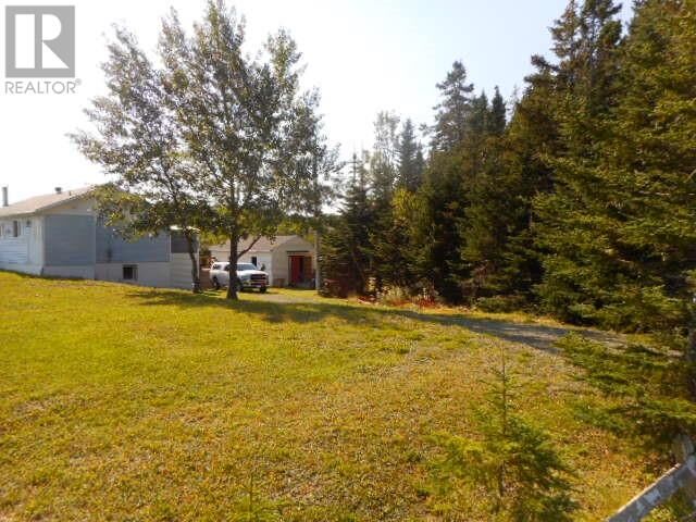 Property Photo:  117 Main Street  NL A0J 1G0 