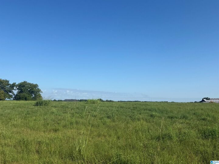 Property Photo: Lot 32 County Road 1464 32 AL 35058