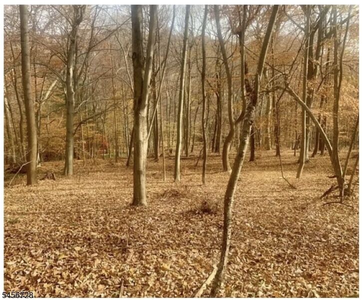 Property Photo:  85 Cherryville Hollow Rd  NJ 08822 