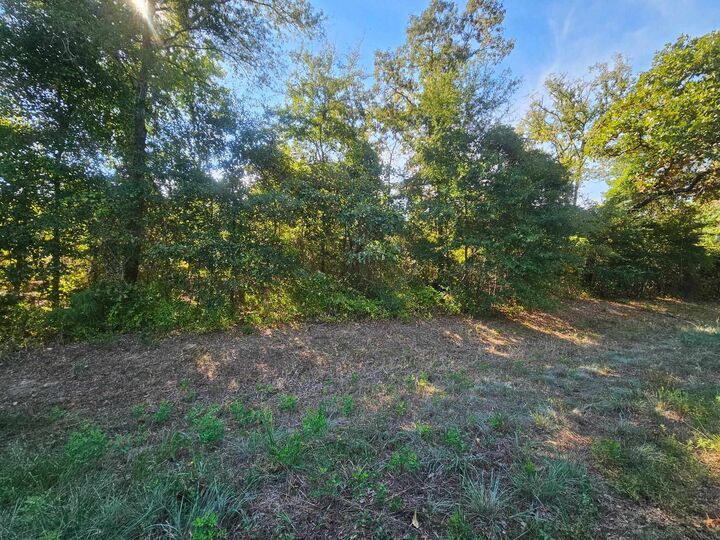 Property Photo:  Tbd N Fm 49  TX 75644 
