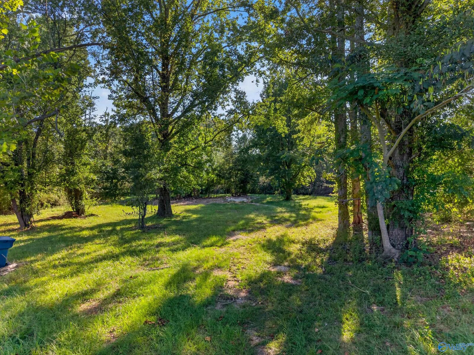 Property Photo:  5425 Gilmer Lane  AL 35906 