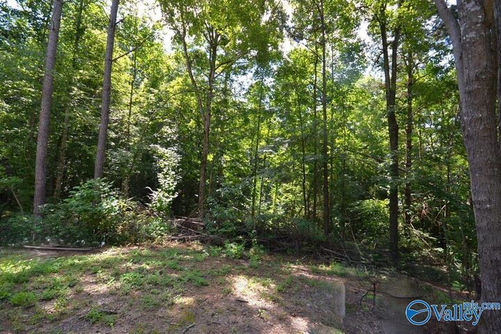 Property Photo: 659 County Road 935 AL 35053