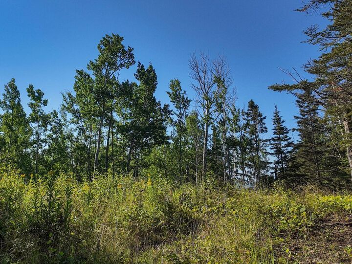 Property Photo: Xxx Casper's Hill Road MN 55604