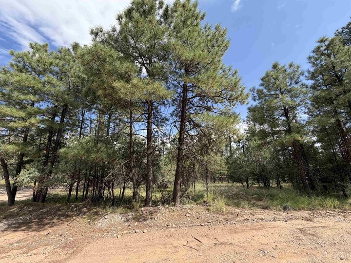 Property Photo:  57 Dixwood Dr  NM 88350 