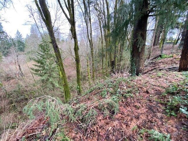 Property Photo:  132 &129  Linda Street SE  WA 98501 