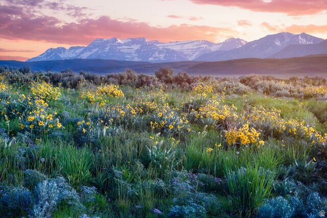 Property Photo:  995 E Hoyt Peak Ranch Rd 3  UT 84036 