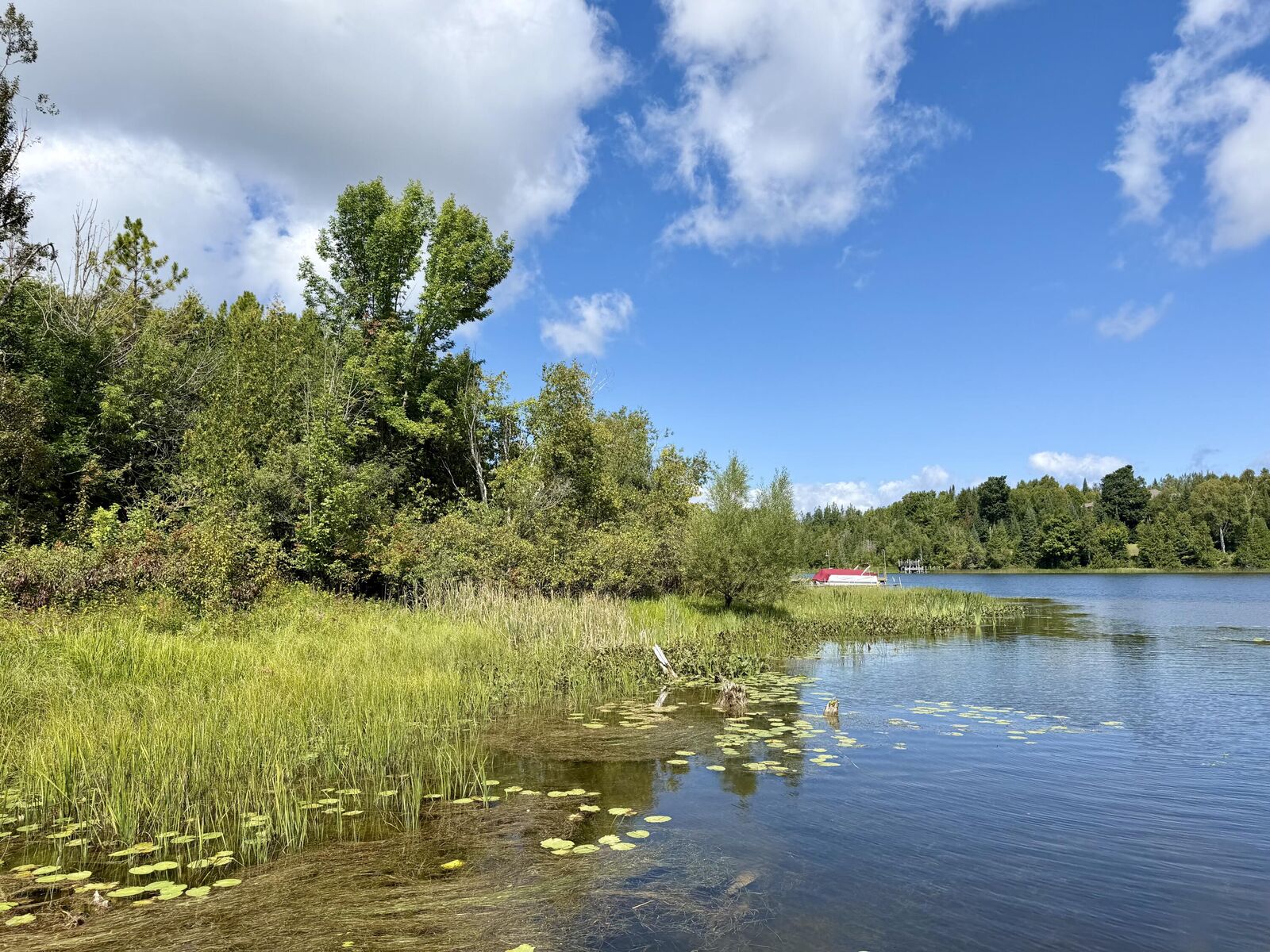 Property Photo: 3181 Canton Drive MI 49721