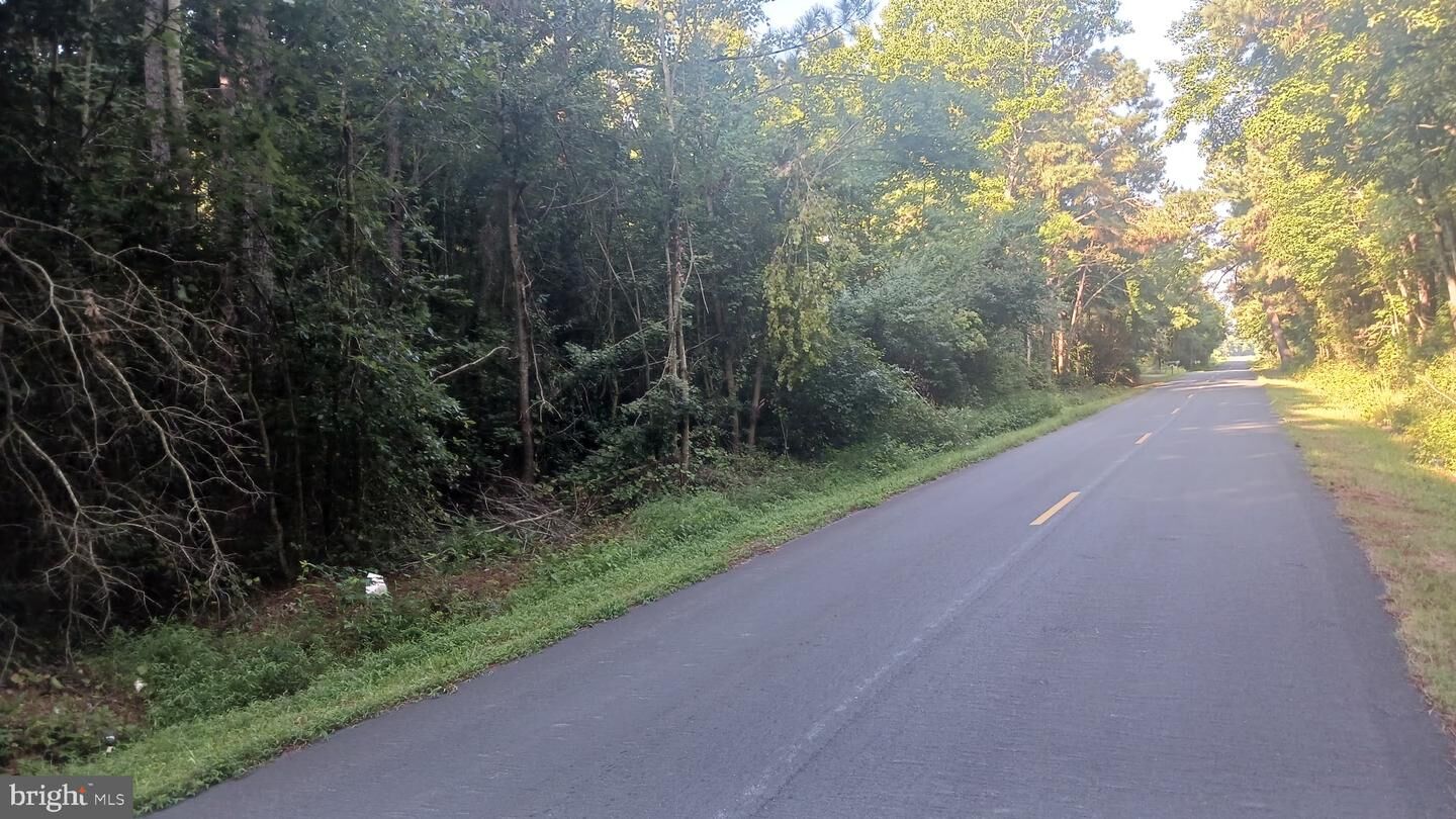 Property Photo:  33009 Longridge Road  MD 21849 