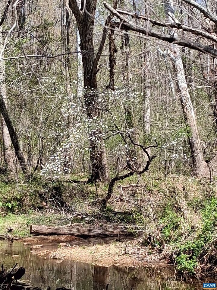 Property Photo: Lot 3 Ridge Rd VA 22963