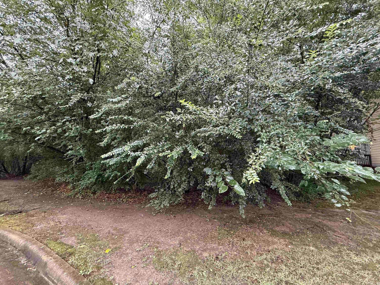 Property Photo:  Lot 22 The Arbors At Stagecoach Village  AR 72210 