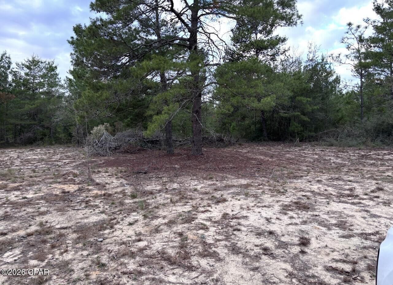 Property Photo:  00 Fairhaven Drive Lot 10  FL 32428 