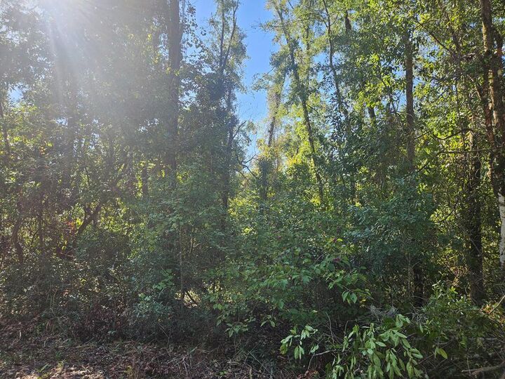 Property Photo:  Spruce Street  FL 32038 