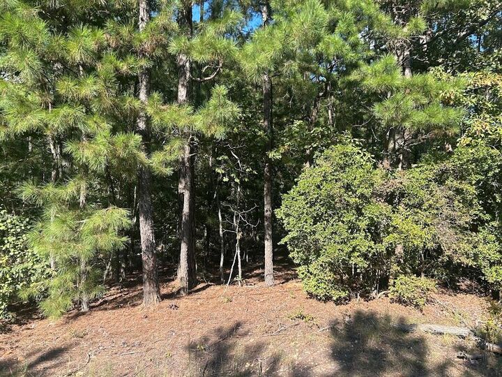 Property Photo: 0 Springer Road GA 30185