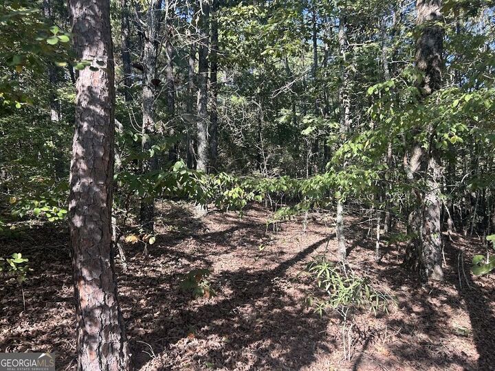 Property Photo: 0 Springer Road GA 30185