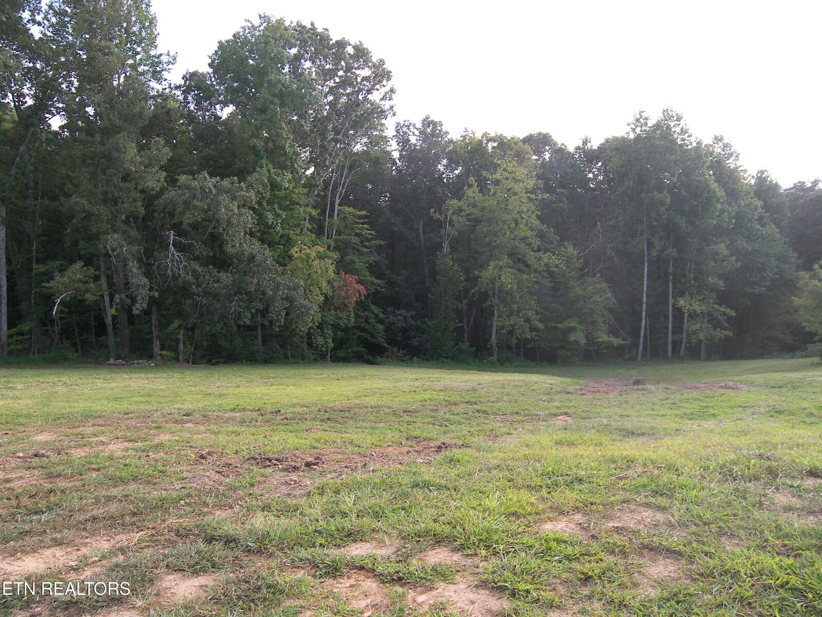 Property Photo: 250 Wells Rd TN 37849