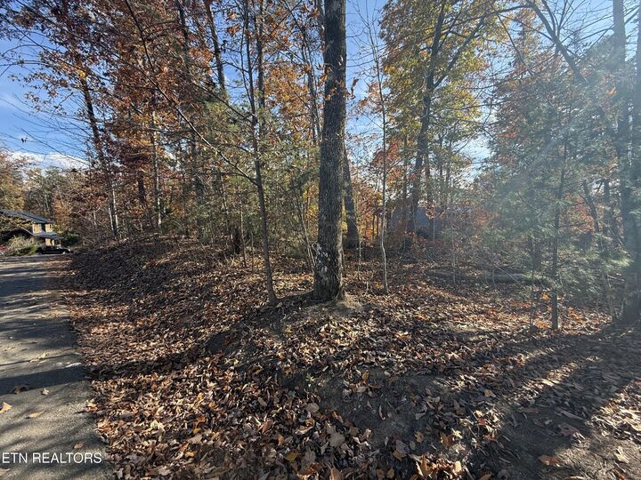 Property Photo:  Scenic Woods Way  TN 37876 