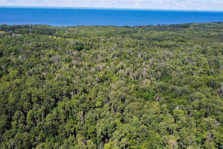 Property Photo:  40 Acres Near State Hwy 13  WI 54844 