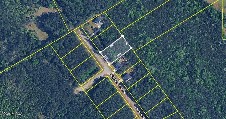Property Photo: 163 Shetland Pines Drive GA 31216