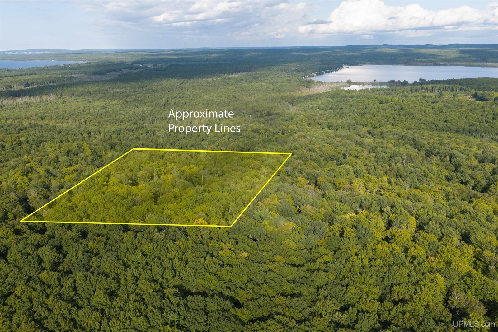 Property Photo: Tbd 40 Acres Martin Road MI 49806