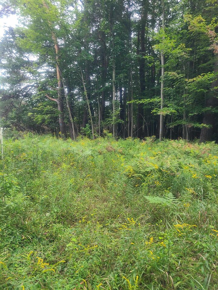 Property Photo: 00 M-55 MI 48770