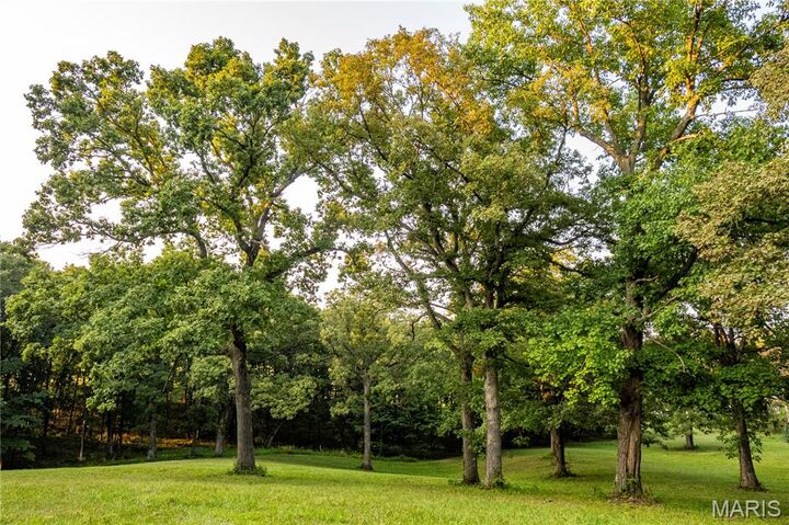 Property Photo:  0 Highway D - Tract 6A (12.1+/- Acres)  MO 63344 