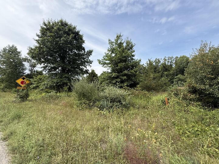 Property Photo:  V/L Sawyer Road  MI 49125 
