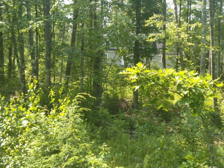 Property Photo: Lot #1 Harry Howes Road ME 04073