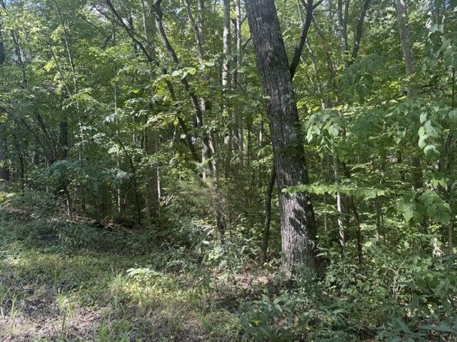Property Photo:  12 Skyline Dr  TN 37166 