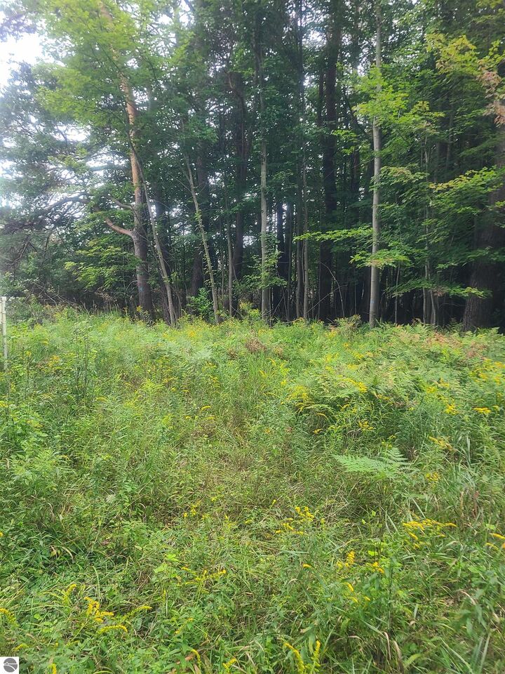 Property Photo:  00 M-55  MI 48770 