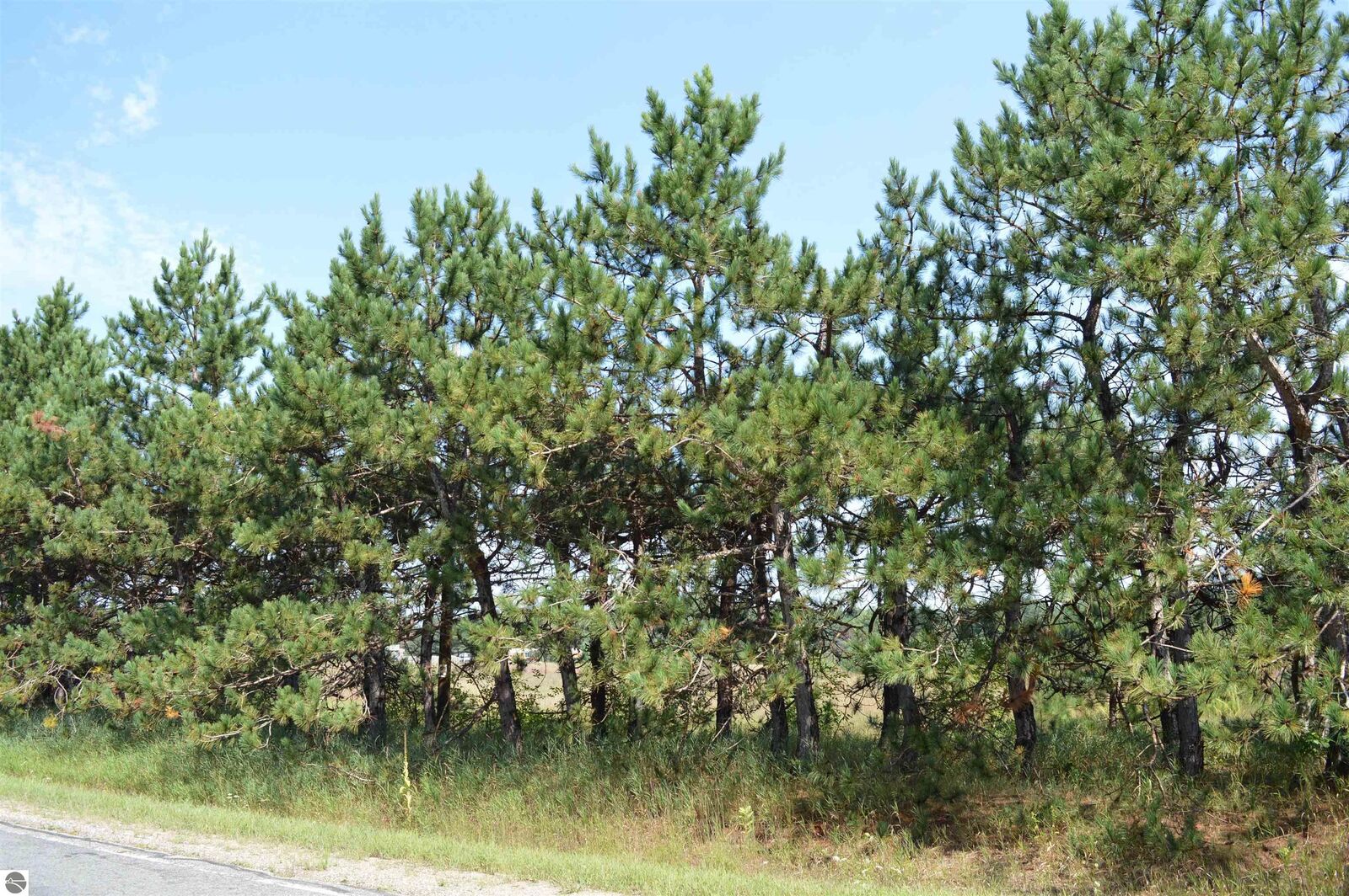 Property Photo:  Coster Road  MI 49633 