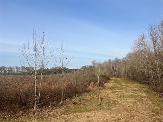 Property Photo:  123 Sewer Pond Road  LA 71350 