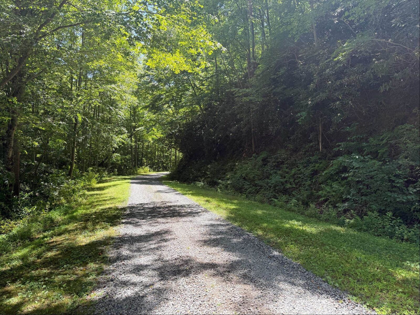 Property Photo:  Tbd Dobyns Road  VA 24076 