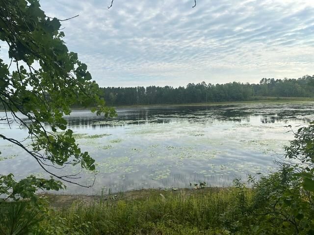 Property Photo:  17263 Mission Road SE  MN 56633 