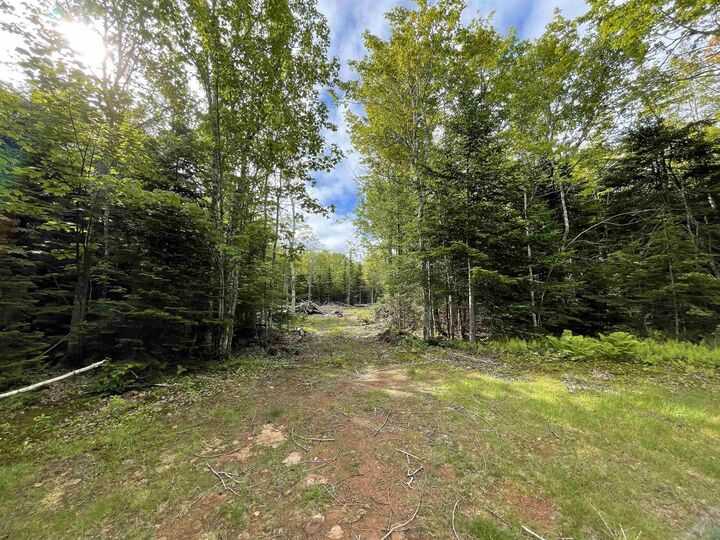Property Photo:  0 Mapleridge Estates  PE C0B 1M0 