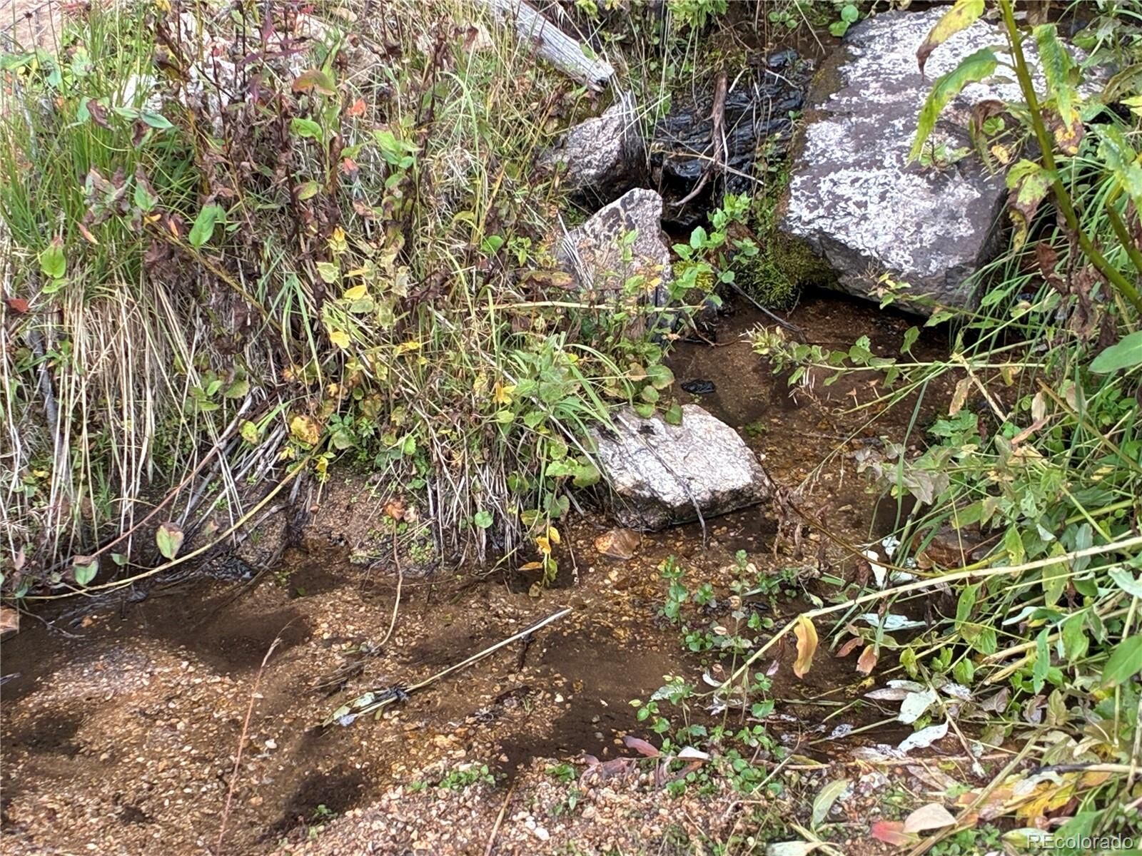 Property Photo:  9ac Clinton Road  CO 81152 