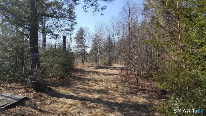 Property Photo:  53 Flag Hill Road  CT 06021 