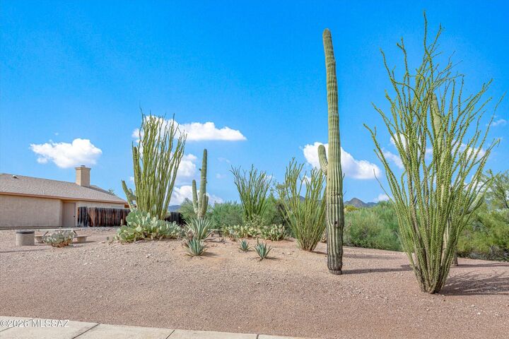 Property Photo:  1617 N Saddlewood Ranch Drive  AZ 85745 