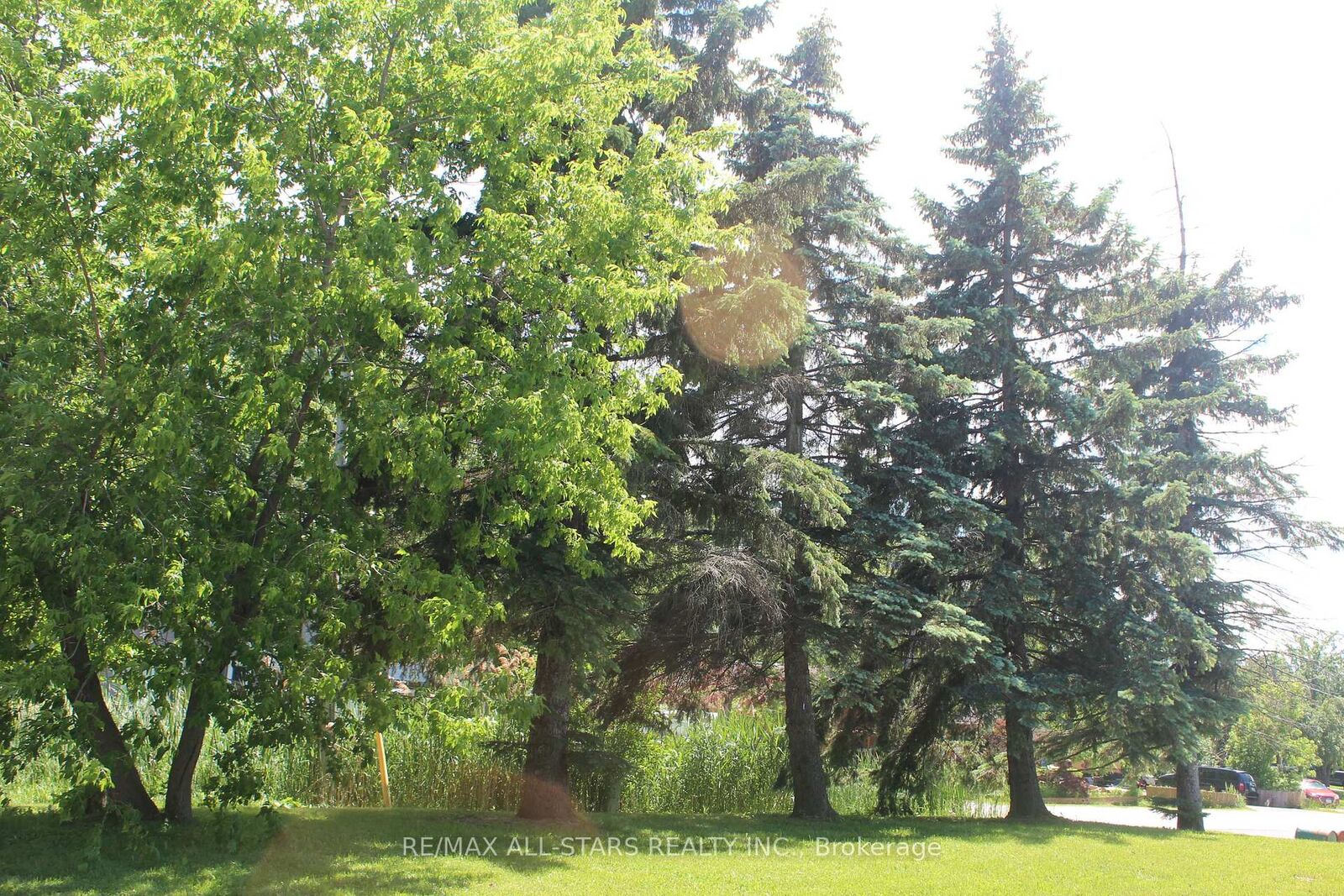 Property Photo:  184 Frederick Street  ON L4P 2J1 