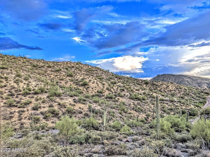 Property Photo:  41197 N Longhorn Drive 11  AZ 85262 