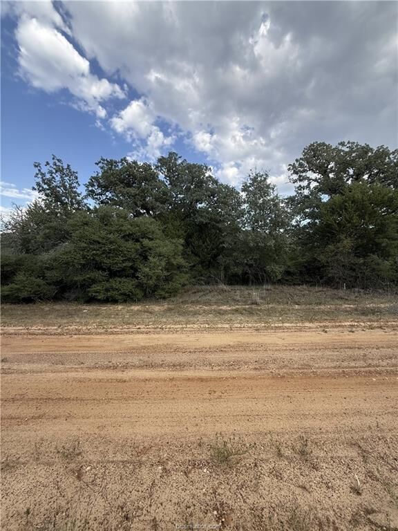 Property Photo:  Tbd Holly Springs Drive  TX 77871 