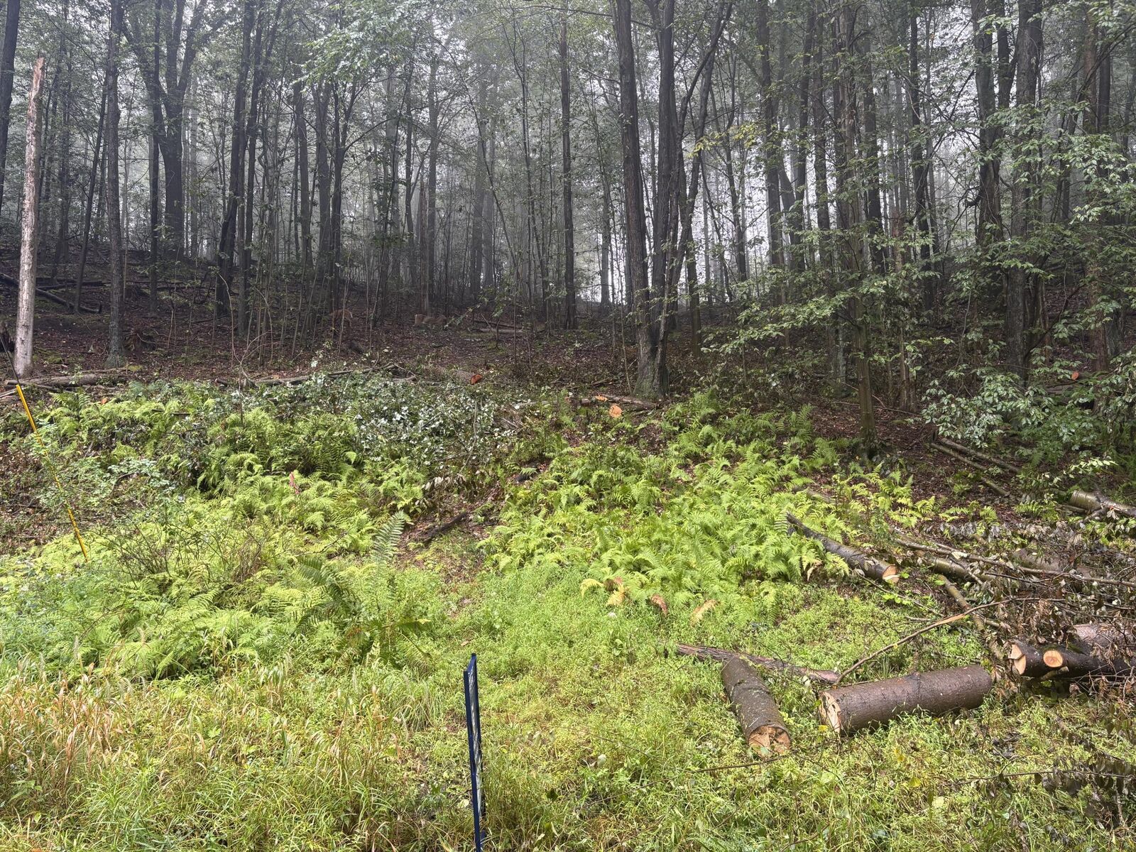 Property Photo:  16 Anguilla  PA 15801 