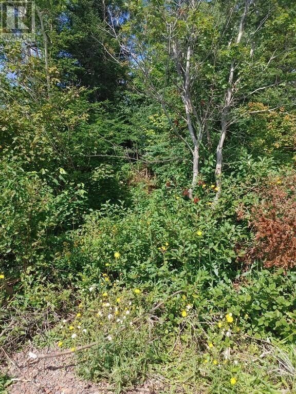 Property Photo:  11 Point Leamington Highway  NL A0H 1E0 
